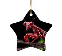 Phayah Lama Rosso Pregare Mantide Modello Hristmas Ceramica Stella Forma Ciondolo Albero di Natale Ornamenti Homefor Gatherings Decorazione