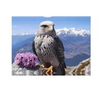 PHAYAH Mountain Top Falcon Pattern Flanella, 152 x 127 cm, morbida coperta in pile per tutte le stagioni, coperta calda per biancheria da letto, divano e trave