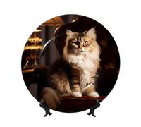 PHAYAH Piatto decorativo in porcellana Bone China con motivo gatto sotto i riflettori, piatti decorativi da 25,4 cm con espositore piatti rotondi per la decorazione di casa e ufficio
