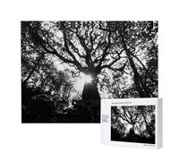 Phayah Puzzle con luce screziata puzzle unico immagine artistica da parete per la decorazione domestica 500 pezzi
