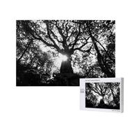 Phayah Puzzle con luce screziata puzzle unico immagine artistica da parete per la decorazione domestica 1000 pezzi