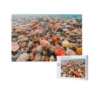 Phayah Puzzle da 1000 pezzi per adulti e bambini, puzzle in legno, kit fai da te, decorazione per la casa, 75 x 50 cm, motivo corallo subacqueo