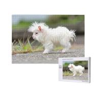 Phayah Puzzle da 1000 pezzi per adulti e bambini, puzzle in legno, kit fai da te, decorazione per la casa, 75 x 50 cm, bianco