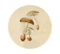 PHAYAH Tappetino per mouse rotondo in gomma antiscivolo con funghi commestibili, durevole e confortevole per ufficio, giochi e apprendimento, 8 in 1