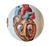 PHAYAH Tappetino per mouse rotondo in gomma antiscivolo con motivo anatomia umana, resistente e confortevole per ufficio, giochi e apprendimento, 8 in 1