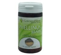 PHELLINUS BRAIN 60CPS VEGETALI