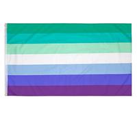 PHENO FLAGS Bandiera dell’orgoglio gay pride 90x150 cm con occhielli in ottone - Bandiera LGBTQ resistente alle intemperie per asta della bandiera - 100% poliestere