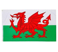 PHENO FLAGS Bandiera Galles 90x150cm - gallese - resistente alle intemperie con occhielli in ottone - 100% poliestere - cuciture doppie robuste e colori vivaci - ideale per gli amanti delle bandiere