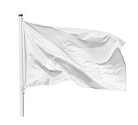 PHENO FLAGS Bandiera Personalizzata Bianca 90x150 cm - Resistente Alle Intemperie Con Occhielli Integrati e Doppio Bordo - Da Dipingere e Scriverci - 100% Poliestere