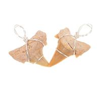 PHENOFICE Ciondolo Collana a Forma di Dente di Squalo 2 Pezzi, Decorazione Gioielli da Collo in Argento Fascino Fossile, Accessorio per Uomo, per Artigianato e Fai da Te