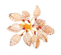 PHENOFICE Fischietto A Conchiglia in Plastica Giocattolo Per Ragazzo Ragazza 10 Pezzi Gadget Artigianale Turistico Design Dettagliato