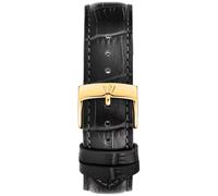 Philip watch R8251150011