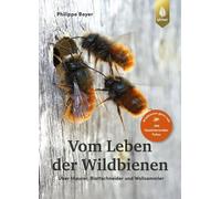 Philippe Boyer Vom Leben der Wildbienen: Über Maurer, Blattsc (Copertina rigida)