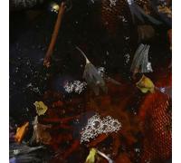 Philippe Petit & Fri - On Top