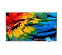 Philips 43HFL6214U 109,2 cm (43") 4K Ultra HD Smart TV Wi-Fi Antracite 400 cd/m² Display arrotolabile