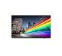 Philips 43BFL2214/12 TV 109,2 cm (43") 4K Ultra HD Smart TV Wi-Fi Nero 350 cd/m²