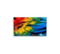 Philips 43HFL6214U 109,2 cm (43") 4K Ultra HD Smart TV Wi-Fi Antracite 400 cd/m² Display arrotolabile
