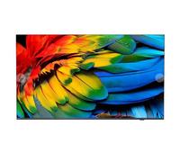 Philips 50HFL6214U 127 cm (50") 4K Ultra HD Smart TV Wi-Fi Antracite 400 cd/m² Display arrotolabile