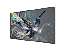 Philips 50BDL3550Q/00 49" Display