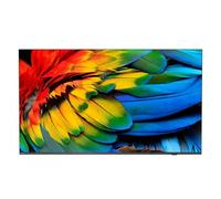 Philips 50HFL6214U 127 cm [50] 4K Ultra HD Smart TV Wi-Fi Antracite 400 cd/m² Di