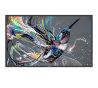 Philips 55BDL3511Q/00 55" Display