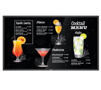 Philips 55BDL3117P/00 55" Display