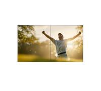 Philips 55BDL8107X/00 Video wall FHD da 55"