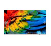 Philips 58HFL6214U/12 TV 147,3 cm (58") 4K Ultra HD Wi-Fi Antracite 400 cd/m²