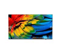 TV Philips LED 65HFL6214U 65" 4K UltraHD 60Hz Smart TV Android TV HDR10 Bluetooth