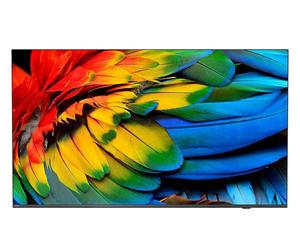 PHILIPS 75inch Professional TV Media Suite Android