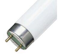 Philips 840 - Lampadina fluorescente TL-D, 18 W, 25 pezzi