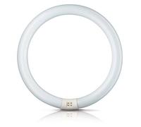 Philips Anello a fluorescenza Master Circular TL-E Philips