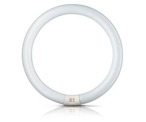 Philips Anello a fluorescenza Master Circular TL-E Philips