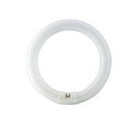 PHILIPS CIRCOLINA TL-E 40W SUPER80 ATTACCO G10Q LUCE BIANCA CALDA E4083