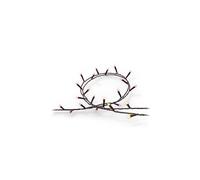 Philips Hue Festavia Luce decorativa bianca e colorata a 250 LED, nero - Nouvo