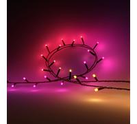 Philips Hue Festavia Luce decorativa bianca e colorata a 500 LED, nero - Nouvo