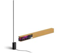 Philips - Hue Gradient Signe Lampada Da Terra Nera-multicolore Philips