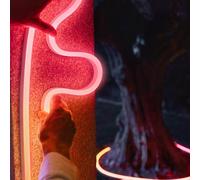 Philips Hue Neon Gradient Outdoor Lightstrip striscia luminosa, LED, 8721103088734, Neon Gradient Lightstrip [Lampade per Esterni > Lampade a Parete]