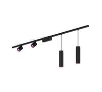 Philips Hue Perifo Kit Base Per Soffitto Dritto (2 Faretti Spot, 2 Lampade A Sospensione)