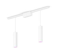 Philips Hue Perifo Kit Base Per Soffitto Dritto (2 Lampade A Sospensione)