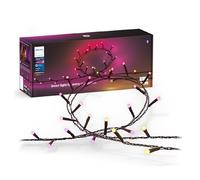 Philips Hue White and Color ambiance Stringa di luci Festavia