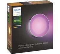 Philips Hue White & Color Ambiance Daylo Applique da esterno LED, Inox