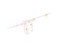 Philips Hue Festavia Permanent Prolunga per Stringa di Luci da Esterno, 9 M, Dimmerabile, Resistente alle Intemperie, Impermeabile, Facile da Installare, White and Color Ambience, Cavo Bianco