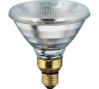 Philips Kerbl, lampada a infrarossi economica, 100 W, trasparente