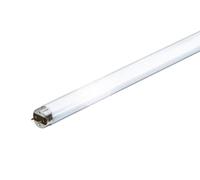 PHILIPS L1586 Master TL-D Super 80 Lampade Fluorescenti, 15W/865, 1Sl/25