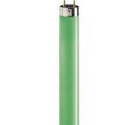 Philips Lampada fluorescente lampada TL-D 18 W/17 EAN: 8711500642981