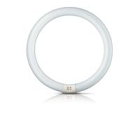 Philips Lampada Fluorescente MASTER TL-E Circolare - C-T9, 865 Luce Diurna - 32W