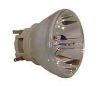 PHILIPS lampada per proiettori per ACER UC.JS411.001, MC.JS411.002, MC.JS411.006