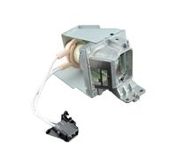 PHILIPS lampada proiettore per OPTOMA SP.72G01GC01, BL-FU195A con alloggiamento