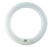 Philips Anello a fluorescenza Master Circular TL-E Philips